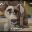 프린스 코기 이미지