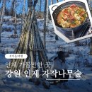 원남로-17 | 강원도 겨울여행 인제 자작나무숲 걷고 인제재래식순두부 맛집 내돈내산