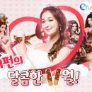 비디오컴퍼니 이미지