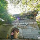 금오산힐링타운 이미지