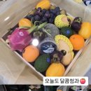 달콤청과 이미지