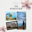 양지암 조각공원 | 거제 양지암조각공원 - 벚꽃실시간 튤립 아이들과가볼만한곳 거제드라이브코스