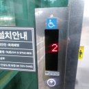 우남육교 네이버블로그