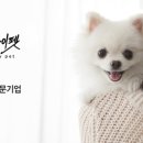 마이펫스토어 이미지