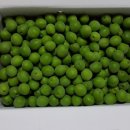 순창토종매실 이미지