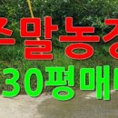 황금터농장 이미지