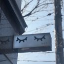 경산 영남대 속눈썹펌 잘하는 곳 | 2번째 만족 후기 “블리채”