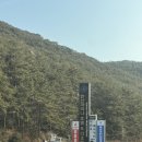통영한산마리나호텔&리조트 | 통영 한산마리나 호텔&amp;리조트 오션스위트 자쿠지 숙박 통영여행 숙소 추천