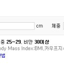 비만도 측정법 이미지