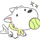 디스크독 연구소 이미지