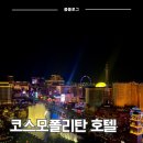라스베가스 | 미국. 라스베가스 코스모폴리탄 호텔 후기