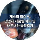 제스티퍼스(Zesty Paws) 종류별 차이와 알러지 이뮨 바이트 내돈내산 후기