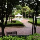 한암동, 꽆(Cof) 이미지