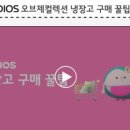 오브제컬렉션 이미지