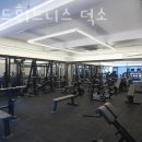 비비드 휘트니스 네이버블로그
