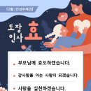 용인대 효 태권도 이미지