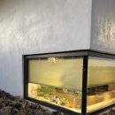 독채펜션 제주별하 이미지