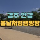 B18-1 | [경주/안강] 경주 사이트 넓고 조용한 봄날처럼 캠핑장 B15, B18후기