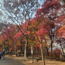 과천초밥