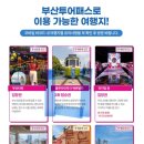 송정역(폐역) | 부산 패스로 해운대 해변 열차 타기 후기