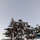 가이택펜션 | 강릉 가이택펜션, 바로 앞이 바다(순포해변 오션뷰)
