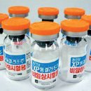 스템바이오사이언스 매일경제