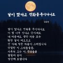 달이 떴다고 전화를 주시다니요 이미지