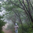 진범목장 이미지