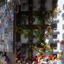 오비도스 이미지