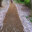 영등근린공원 이미지