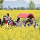 세도 가회리 장군제 이미지