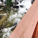 왕산골숲속 이미지