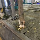 배산역(망미동 방면) 이미지