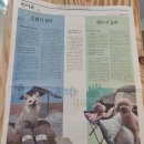 이츠펫 칠성점 | [대구 이츠펫 철성동점] 강아지 샴푸와 사료 추천, 후기