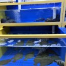 정정수산 이미지