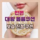 틴톤 대왕 볼륨쿠션 보습 진정쿠션 후기 성분 효과