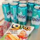 사노리 | 갱얼쥐와 당일 글램핑, 사노리숲 후기
