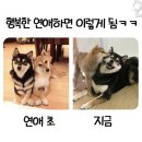 누군가에게 사랑을 받는다는 건