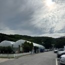 잉어물놀이 | 용인 아이랑 갈만한곳 추천 동천자연식물원 여름 물놀이 내돈내산 후기