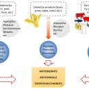 Re: 발효를 통한 식품 부산물로부터 항산화제 및 천연 방부제 획득: 2021리뷰 이미지