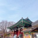 덕진-65 | #전주 전주동물원_국내 세 번째 규모 동물원 데이트 후기 (+입장권, 주차)