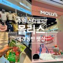 이브애견샵 | 수원 스타필드 애견동반 펫샵 몰리스 포토존 견생사진 펫라운지 정보