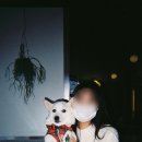 행운다방 이미지