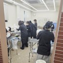 코리아 애견 | 비전공자 애견미용자격증 단계별 준비로 달라진 결과