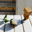 기숙사4 이미지