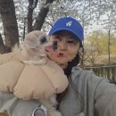 하늘에서 온 선물 | 카카오톡 선물하기 추천 이미스 모자 스몰 로고 볼캡 톤온톤 와팬 볼캡 착용후기 내돈내산