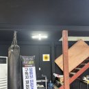 덴트초이 덴트랩 청주점 유리복원 후기 : 청주 유리복원, 유리용접, 차 앞유리 돌빵 수리