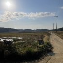 솔푸른향기애견 | [태안 안면도 여행] 애견펜션 솔푸른향기 :: 반달룸 숙박후기