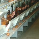 여러분축산 이미지