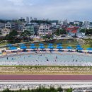 퐁당퐁당 이미지